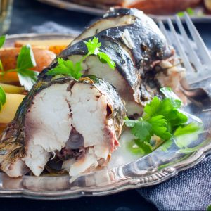 GrillBot Lite